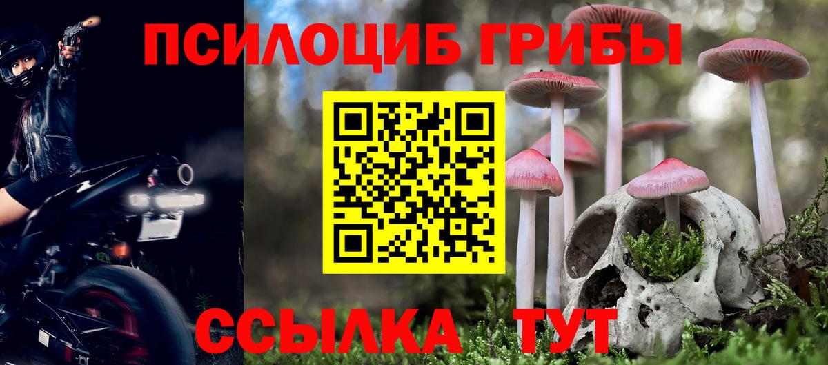 Псилоцибиновые грибы GOLDEN TEACHER Елец